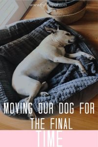 MOVING MY DOG FOR THE FINAL TIME