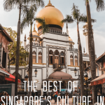 The best of Singapore culture in 1 day