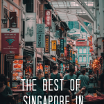 the best of singapore in 1 day
