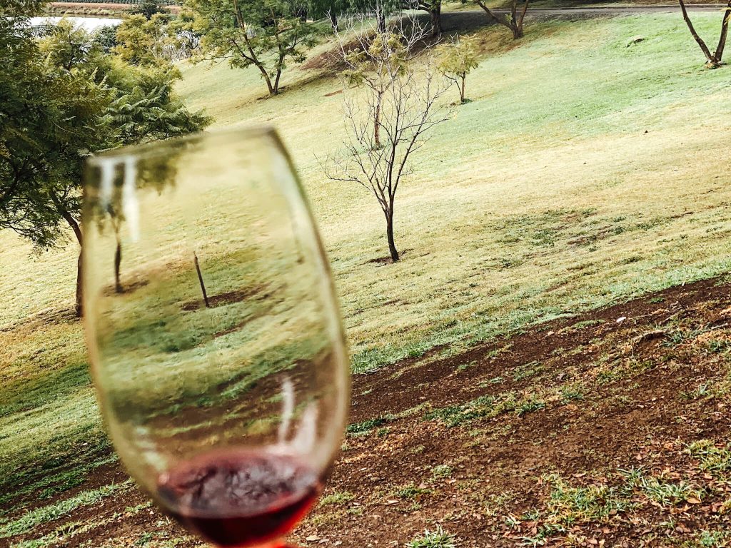 hunter valley wine tours