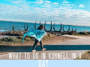 what to do in kurnell in a day