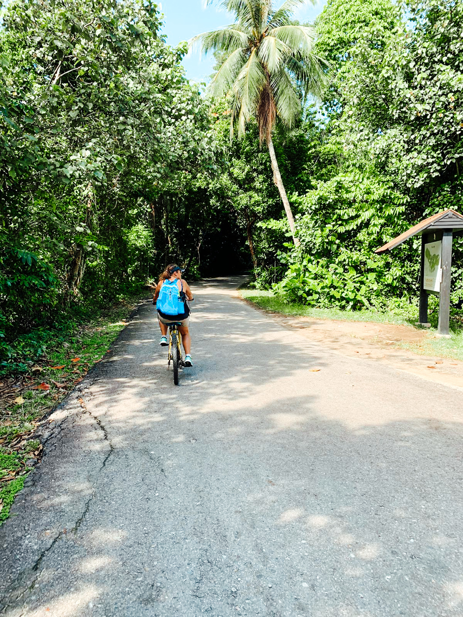 biking through Pulau Ubin